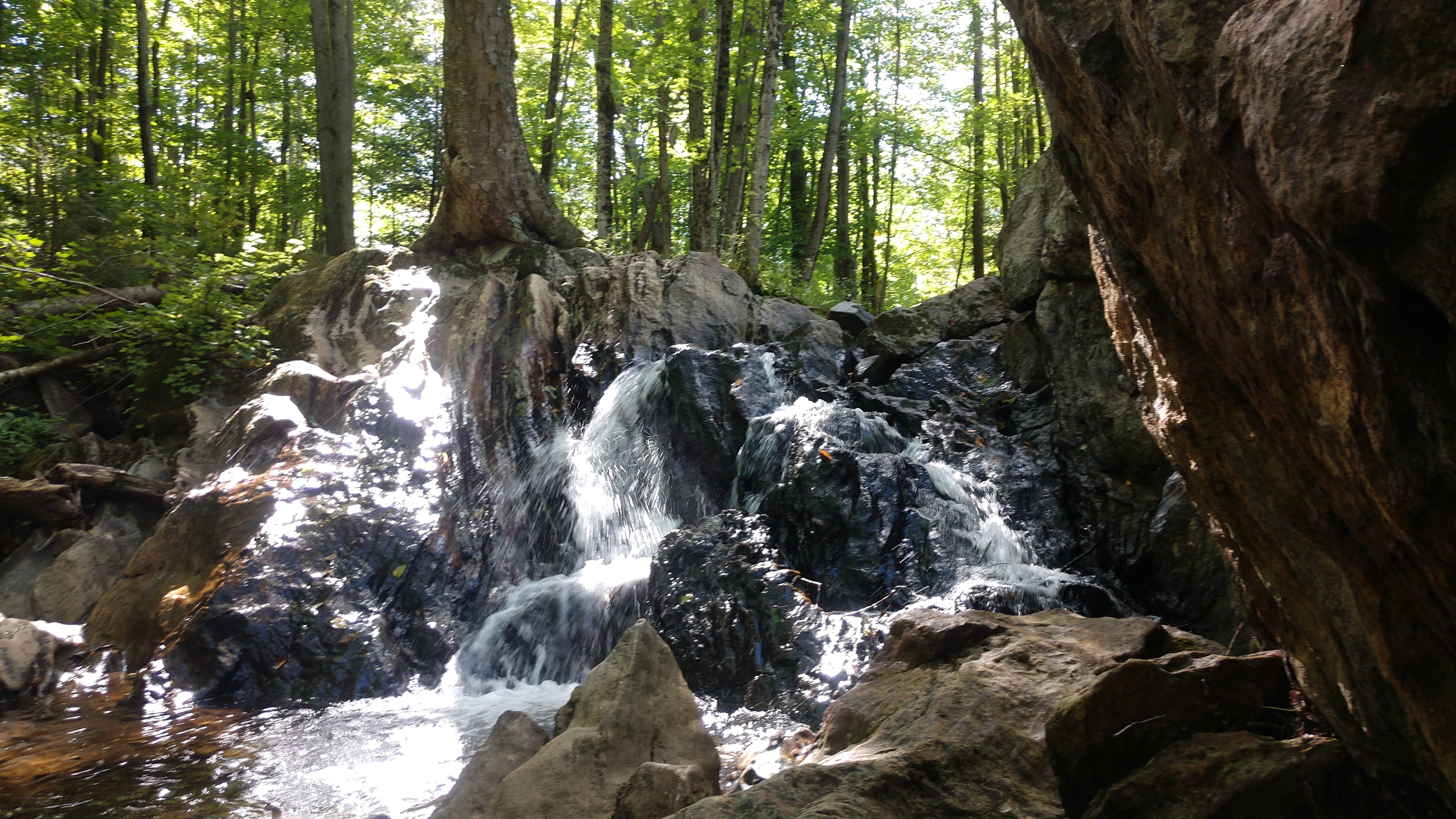 Kent Pond