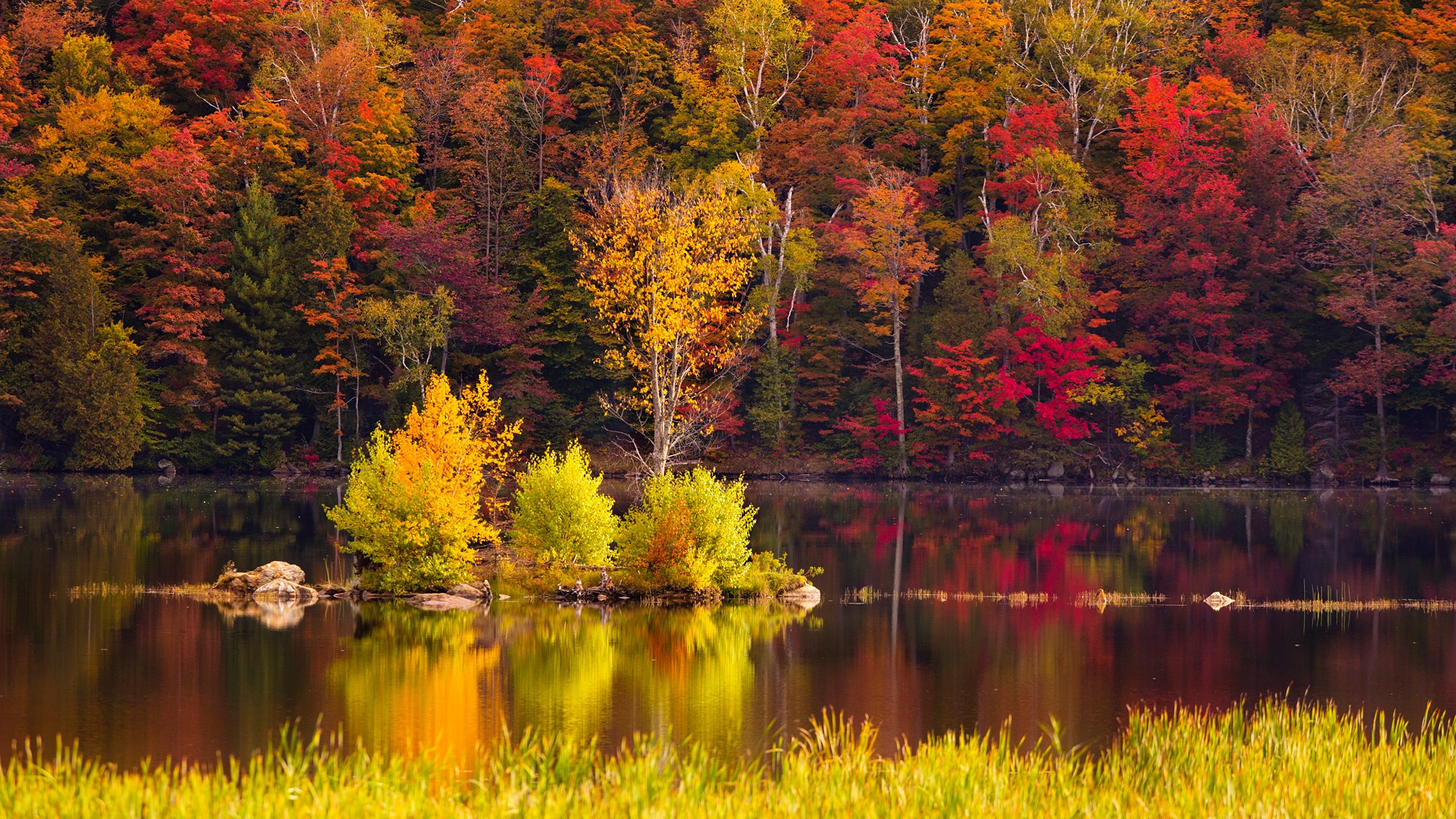 Kent Pond